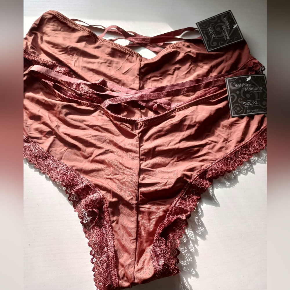 2 pairs splendies panties Wilshire Montana intimates